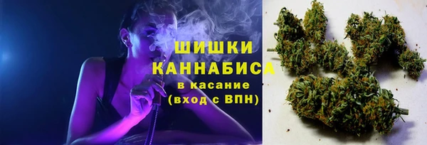 ECSTASY Гусиноозёрск