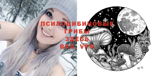марки lsd Новозыбков