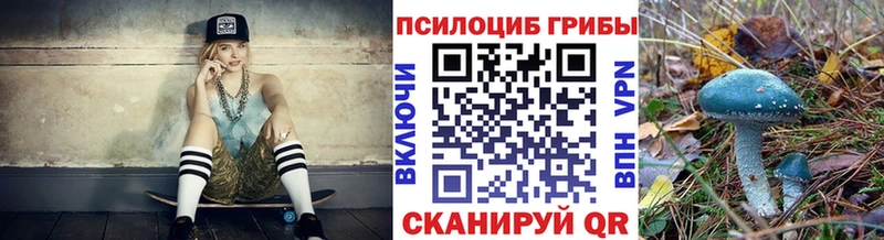 MEGA маркетплейс  закладки  Кашин  Галлюциногенные грибы мицелий 